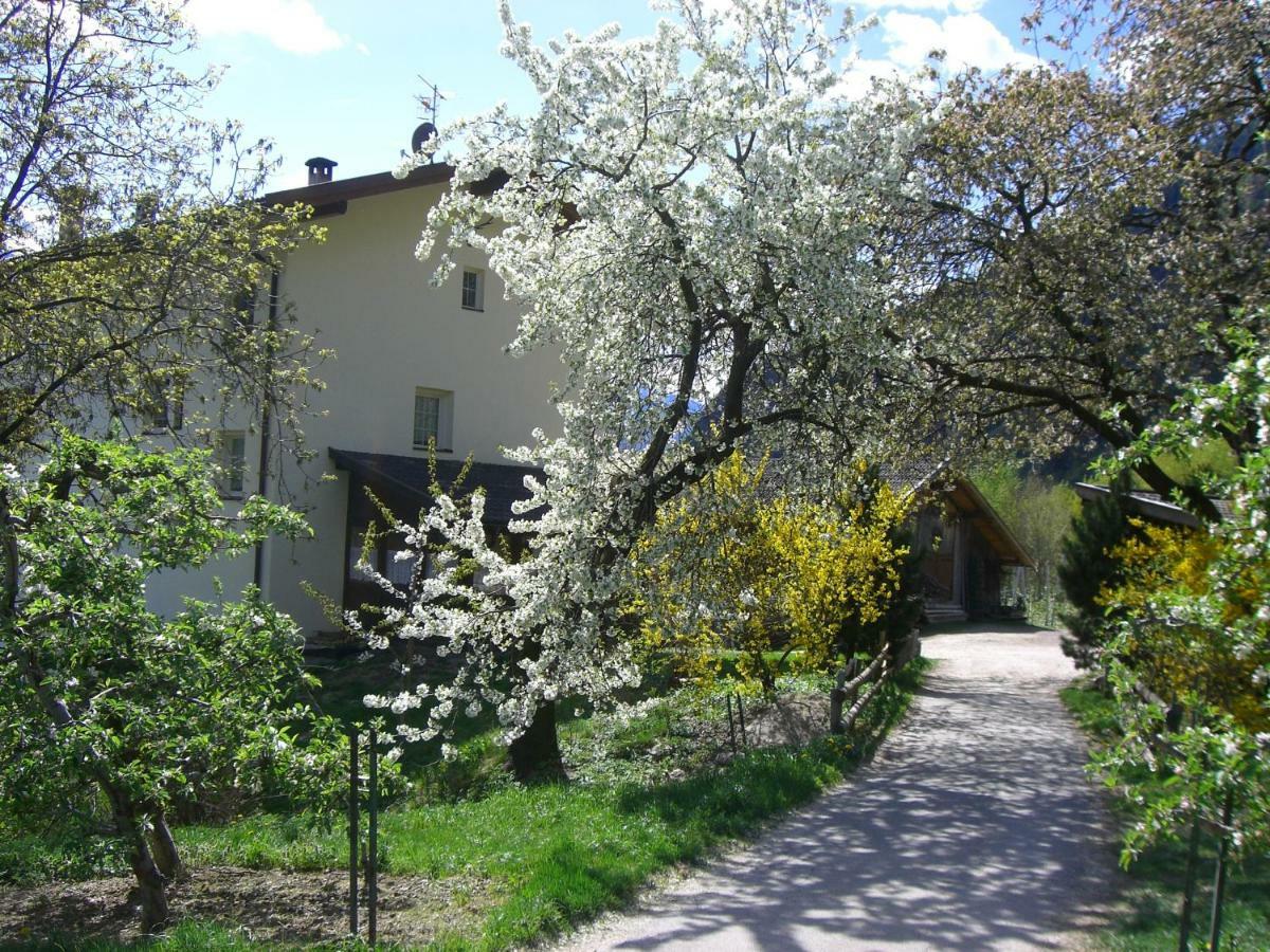 Mareinhof - Urlaub Auf Dem Apfelbauernhof Apartment Parcines Exterior photo